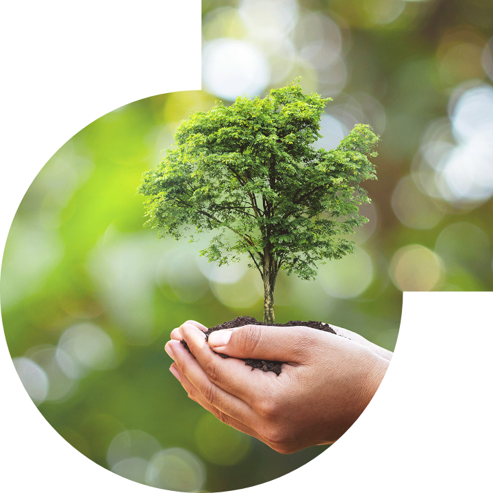 关怀人类、文化、环境与社会